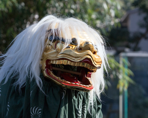 上野動物園 お正月イベント 獅子舞
