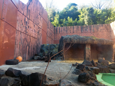 東山動植物園 マレーグマ舎