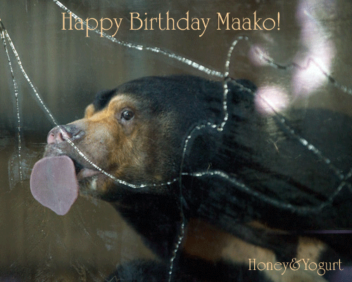 東山動植物園 マレーグマ マー子