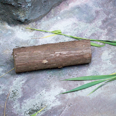のいち動物公園 マレーグマ舎
