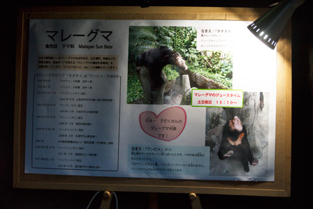 のいち動物公園 ジャングルミュージアム マレーグマ舎