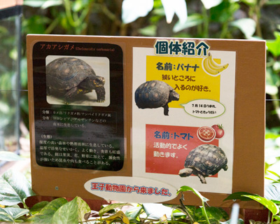 のいち動物公園　ジャングルミュージアム