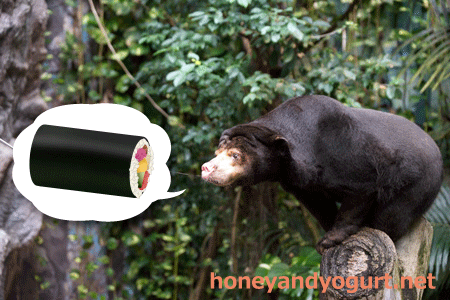 のいち動物公園 マレーグマ タオチイ