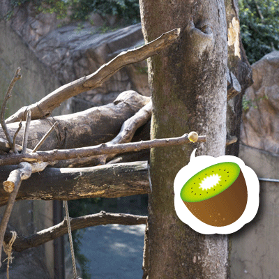 上野動物園 マレーグマ舎