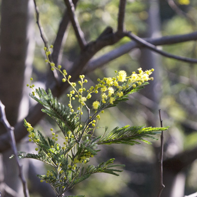 上野動物園 マレーグマ舎