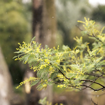 上野動物園 マレーグマ舎