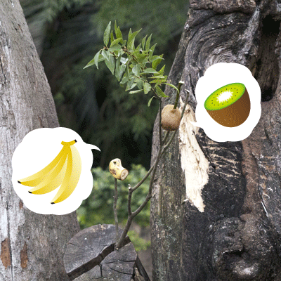上野動物園 マレーグマ舎