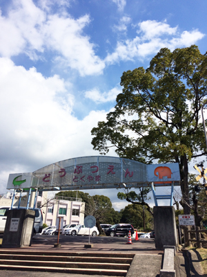 徳山動物園　入口