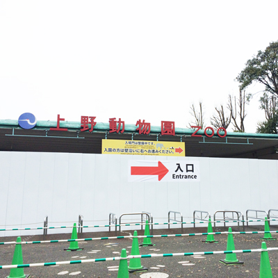 上野動物園 入口 工事中