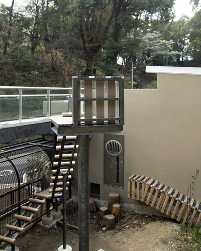 福岡市動物園　マレーグマ舎