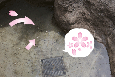 上野動物園　マレーグマ舎　プール