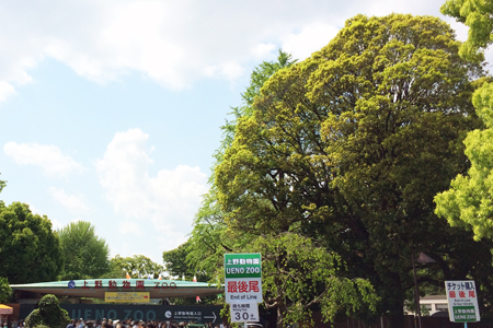 上野動物園 チケット購入行列