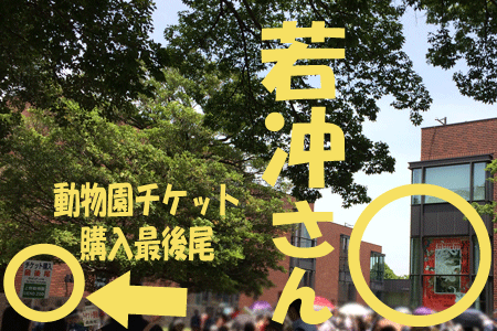 上野動物園 チケット購入列