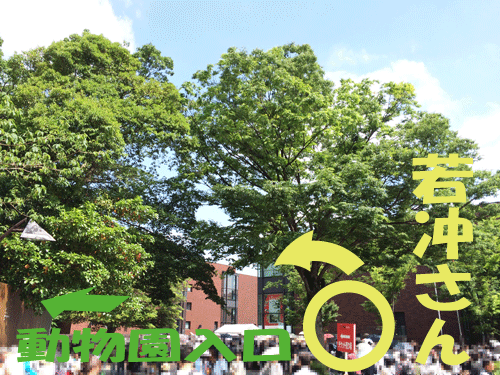 上野動物園　入口