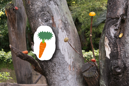 上野動物園　マレーグマ舎