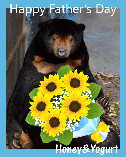 のいち動物公園　マレーグマ　ワンピイ