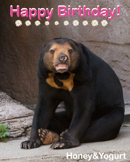 天王寺動物園　マレーグマ　マーサ