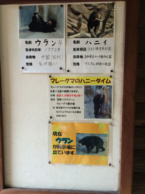 平川動物公園　マレーグマ舎