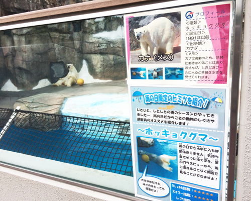 平川動物公園　世界のクマゾーン