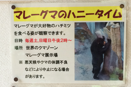 平川動物公園　マレーグマ舎