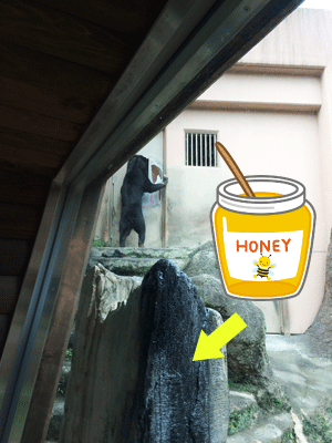 平川動物公園　マレーグマ舎