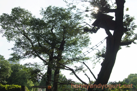 上野動物園 マレーグマ舎