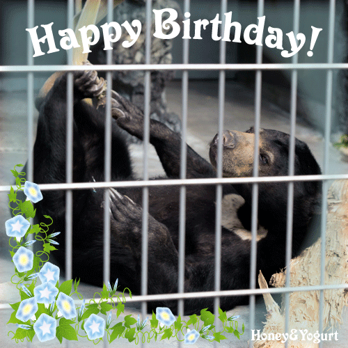 遊亀公園附属動物園 マレーグマ サクラ