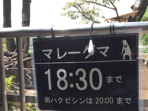 上野動物園 マレーグマ舎