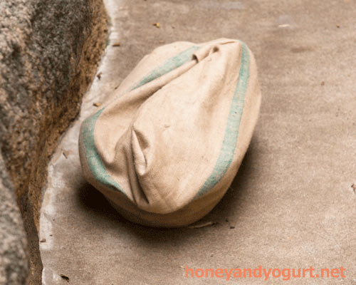上野動物園 マレーグマ モモコ