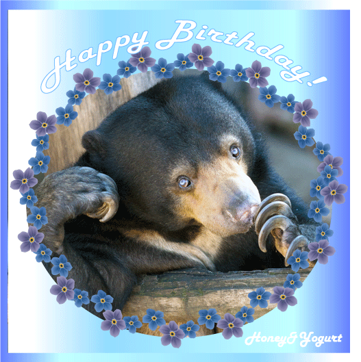 上野動物園 マレーグマ モモコ