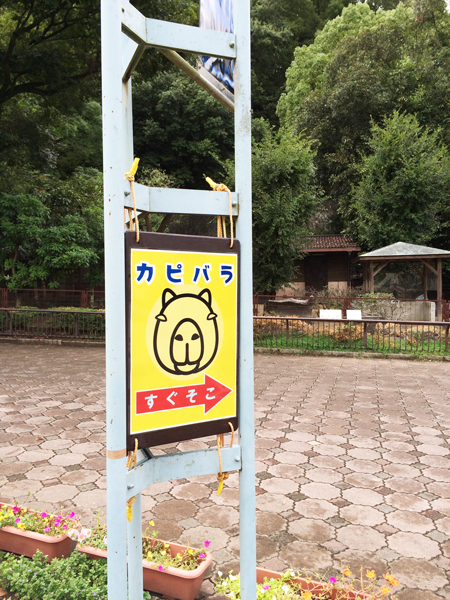 とべ動物園 カピバラ舎