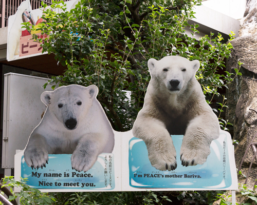 とべ動物園 ベアストリート 看板