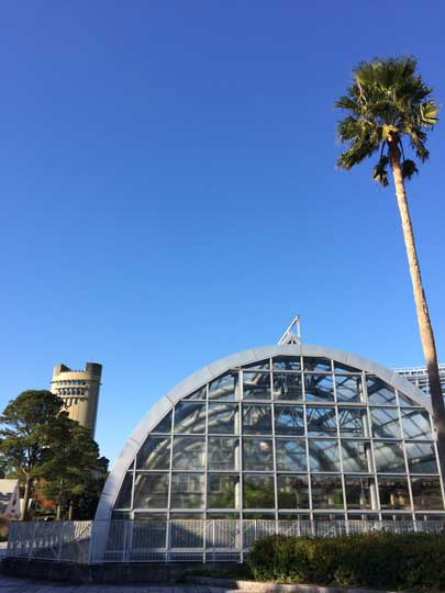 豊橋総合動植物公園 園内