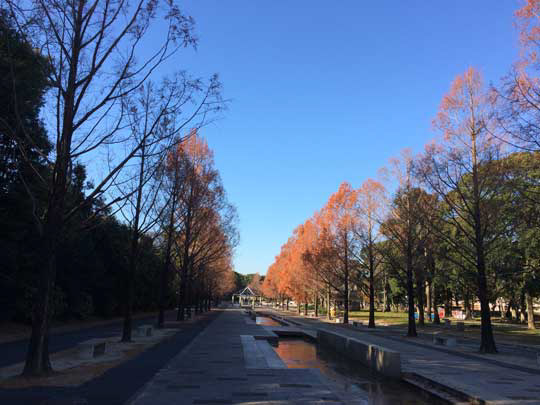 豊橋総合動植物公園 園内