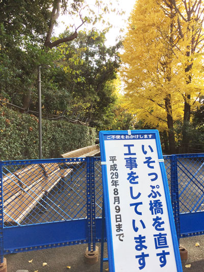 上野動物園　園内　工事