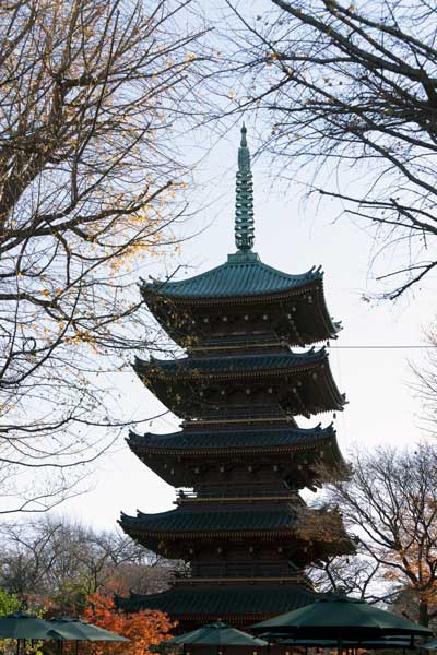 上野動物園　園内