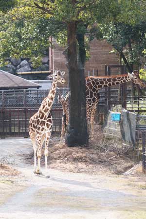 のいち動物公園　園内