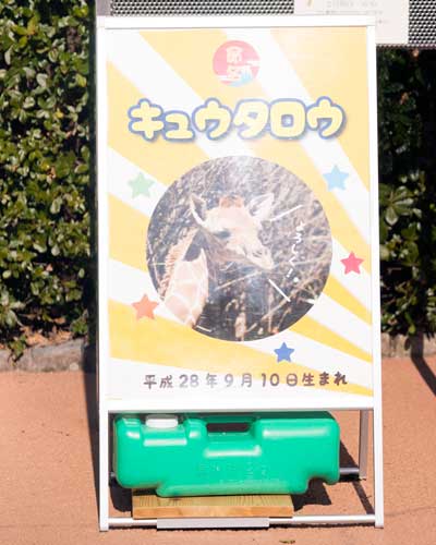 のいち動物公園　園内