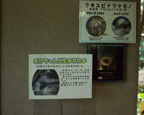 のいち動物公園　ジャングルミュージアム