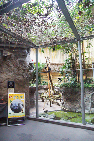 のいち動物公園 ジャングルミュージアム