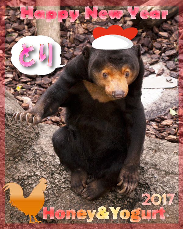 上野動物園 マレーグマ キョウコ