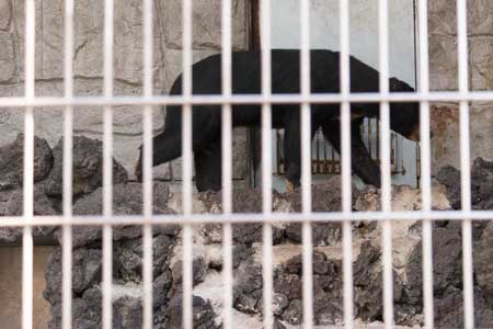 甲府市 遊亀公園 附属動物園