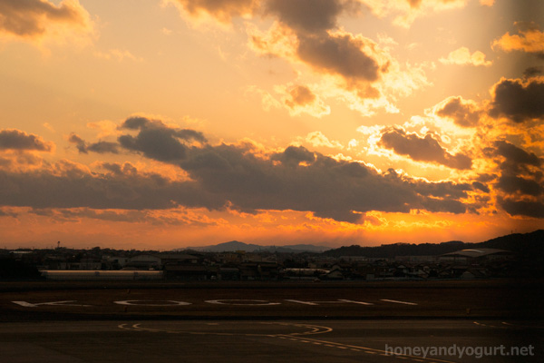 高知竜馬空港 屋上