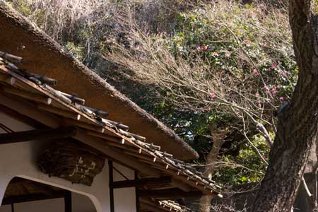 上野動物園 閑々亭
