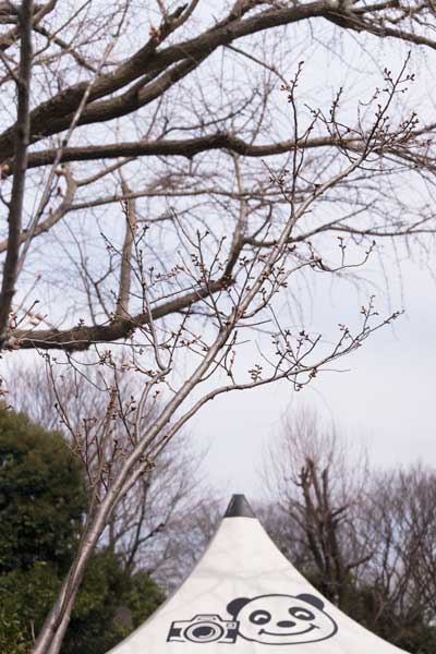 上野動物園　園内