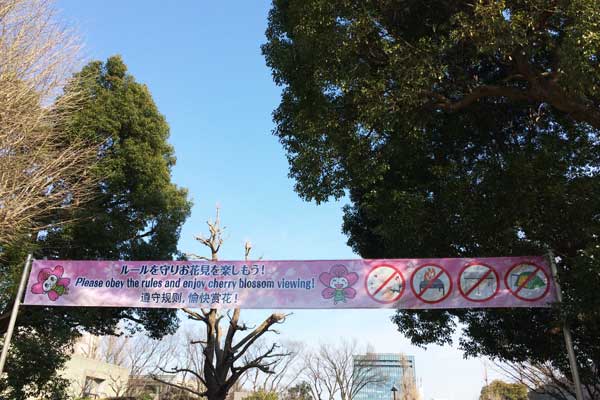 上野公園　花見バナー
