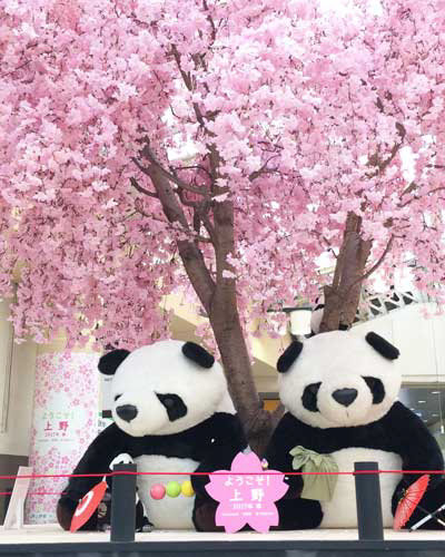 上野駅中央改札