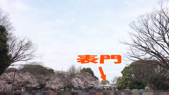 上野公園　上野動物園　表門