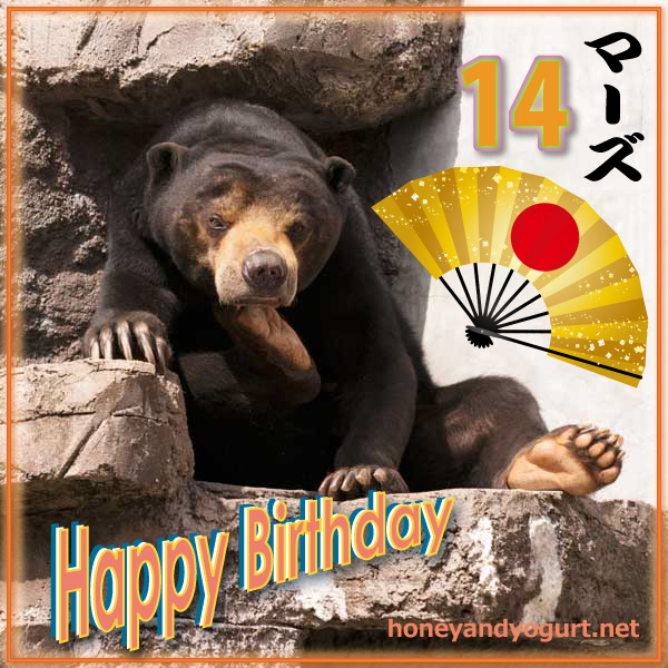 天王寺動物園　マレーグマ　マーズ