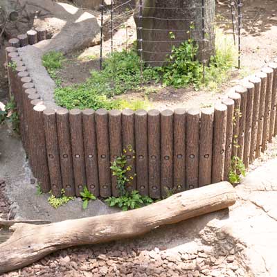 上野動物園 マレーグマ舎